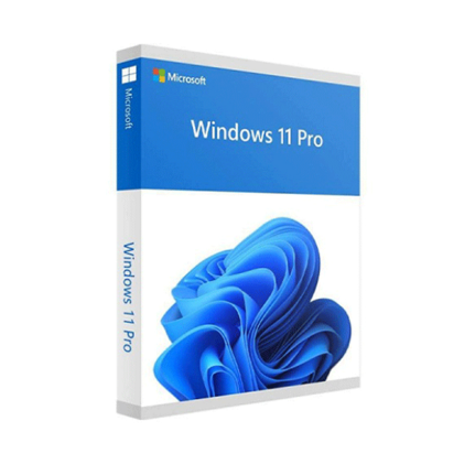 Microsoft Win Pro 11 64-bit All Lng PK Lic Online DwnLd NR