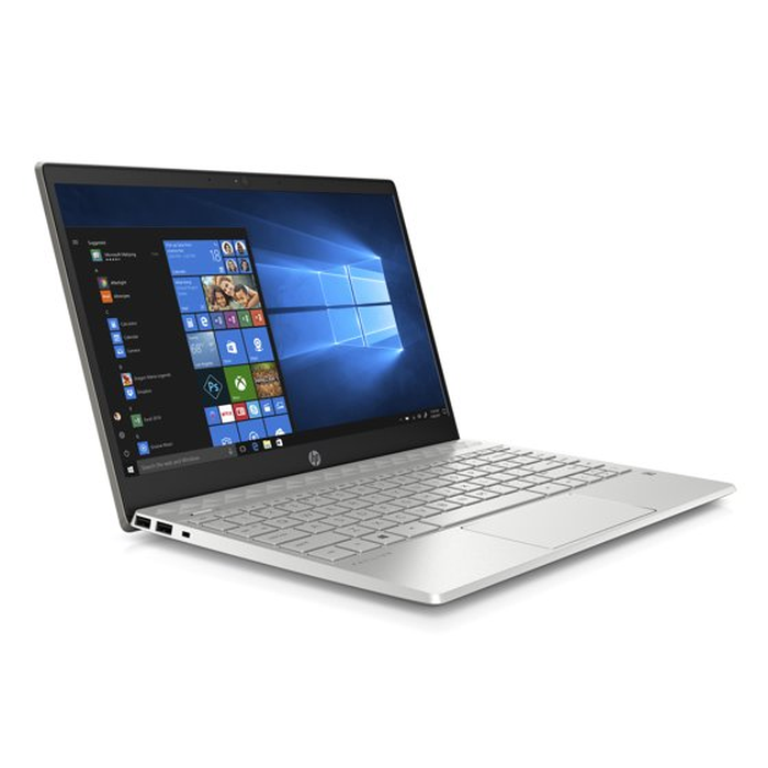 Notebook HP Pavilion 13-an1033TU INDO (8TN70PA) 13.3
