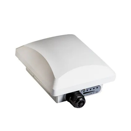 Ruckus P300 Access Point Outdoor (901-P300-WW02) & WatchDog Advance Replacement (803-P300-1100)