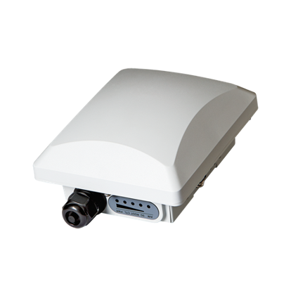 Ruckus P300 Access Point Outdoor (901-P300-WW02) & WatchDog Advance Replacement (803-P300-1100)