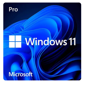 Microsoft Win Pro 11 64-bit All Lng PK Lic Online DwnLd NR