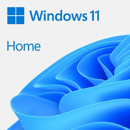 Microsoft Win Home 11 64-bit All Lng PK Lic Online DwnLd NR